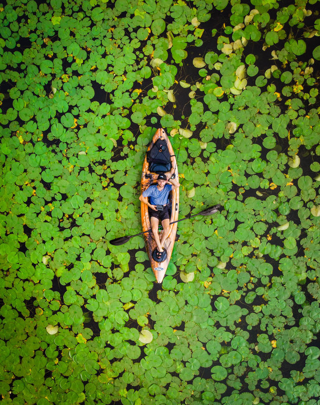 Aerial view of a kayaker drifting through lily pads