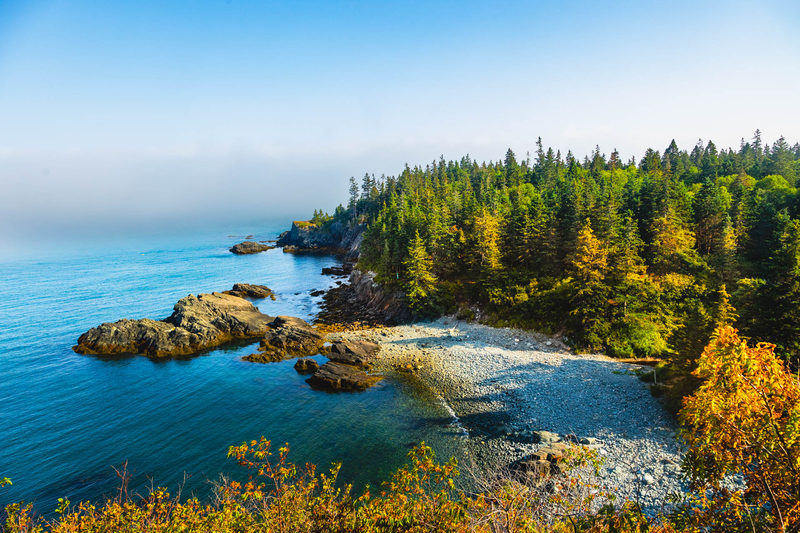 Rocky coastline with early autumn foliage meeting blue ocean water on Maine's Bold Coast