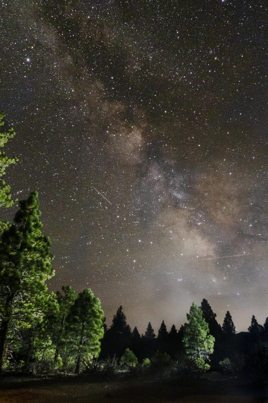 Milky Way galaxy visible in a starry night sky above pine trees near Yosemite