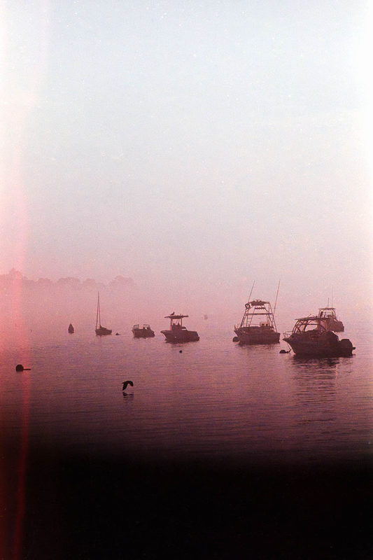 Moored boats in a rose-colored morning fog, shot on film